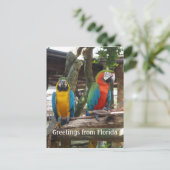 twee ara's of papegaaivogels briefkaart (Staand voorkant)