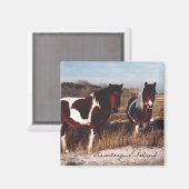 Twee Assateague Wilde Paarden - Magnet (Voorkant / Achterkant)