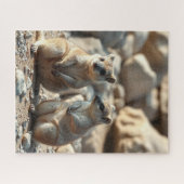 Twee Aussie Rottnest is het land van de quota, Legpuzzel (Horizontaal)