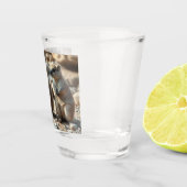 Twee Aussie Rottnest is het land van de quota, Shot Glas (Rechts)