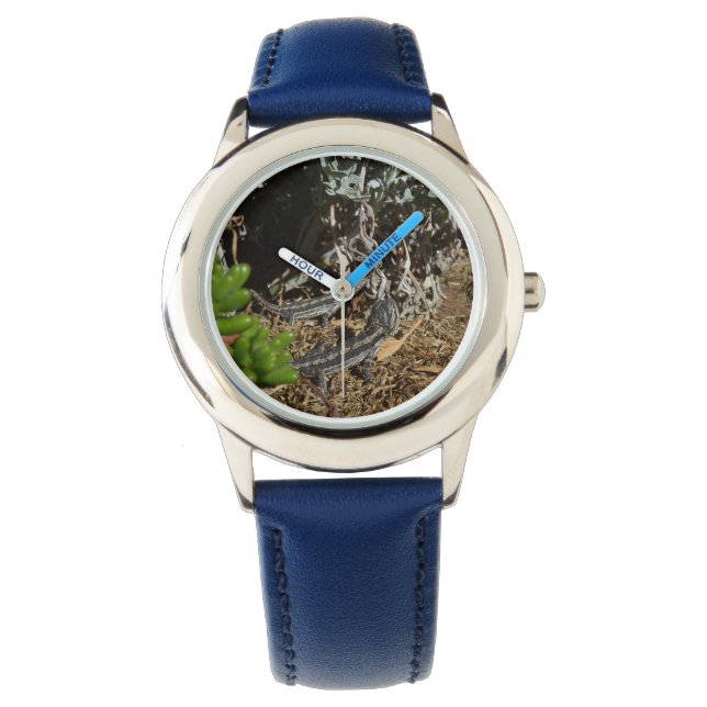 Twee Australische Dragon Lizards, Horloge (Voorkant)