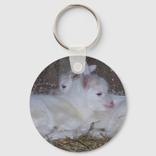 Twee Baby geiten in stro Sleutelhanger