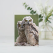 Twee Baby grote paarden Briefkaart (Staand voorkant)