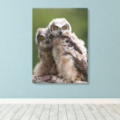 Twee Baby grote paarden Canvas Afdruk (Insitu (Houten vloer))