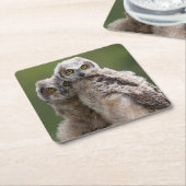 Twee Baby grote paarden Kartonnen Onderzetters (Schuin)