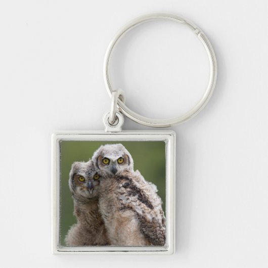 Twee Baby grote paarden Sleutelhanger (Voorkant)