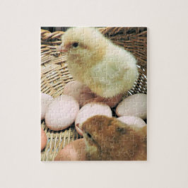 Twee Baby kippen in een korf eieren Legpuzzel
