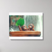 Twee Baby orang-oetans Canvas Afdruk (Voorkant)