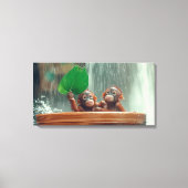 Twee Baby orang-oetans Canvas Afdruk (Voorkant)