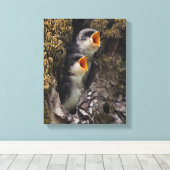 Twee Baby-oversteeksels Canvas Afdruk (Insitu (Houten vloer))