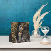 Twee Baby-oversteeksels Fotoplaat (Insitu)