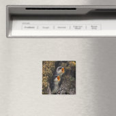 Twee Baby-oversteeksels Magneet (Insitu (Vaatwasser))