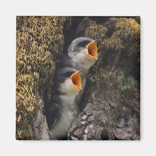 Twee Baby-oversteeksels Magneet (Voorkant)