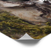 Twee Baby-oversteeksels Poster (Hoek)