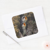 Twee Baby-oversteeksels Vierkante Sticker (Envelop)