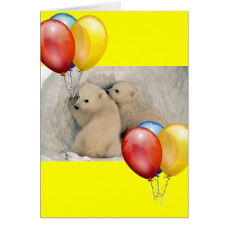 TWEE BABY POLAIRE BEREN