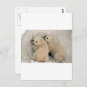 TWEE BABY POLAIRE BEREN BRIEFKAART (Voorkant / Achterkant)