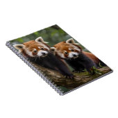 Twee Baby rode panda Beren in een boom, Notitieboek (Rechterzijde)