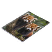Twee Baby rode panda Beren in een boom, Notitieboek (Linkerzijde)