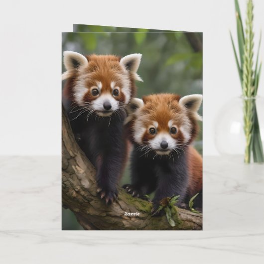 Twee Baby rode panda's, Kaart (Achterkant)