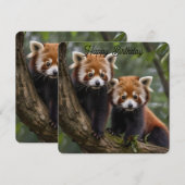 Twee Baby rode panda's, platte Kaart (Voorkant / Achterkant)