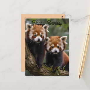 Twee baby rode panda's, verjaardagskaart briefkaart