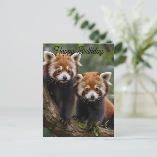 Twee baby rode panda's, verjaardagskaart briefkaart (Staand voorkant)
