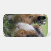 Twee Baby schildpadden cavia's, Case-Mate iPhone Case (Achterkant (horizontaal))