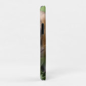 Twee Baby schildpadden cavia's, Case-Mate iPhone Case (Achterkant/rechts)