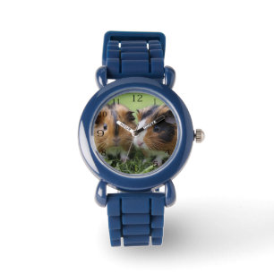 Twee Baby schildpadden cavia's, Horloge