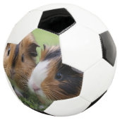 Twee Baby schildpadden cavia's, Voetbal (Drie kwart)