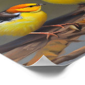 Twee baby vliegen in een tak poster (Hoek)