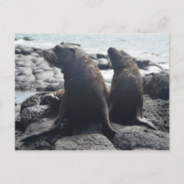 Twee baby zegels briefkaart