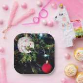 Twee ballen papieren bordje (Feest)