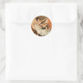 Twee Ballerina's stickers (Tas)