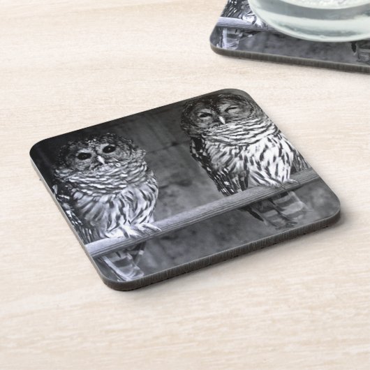 Twee Barred Owls Square Onderzetters (Linkerzijde)