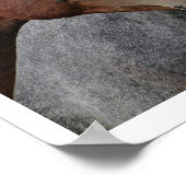 Twee bays en een grijze, drie paarden in een rij poster (Hoek)