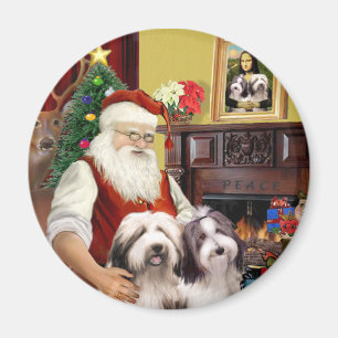 Twee Bearded Collies van Sinterklaas Magneet