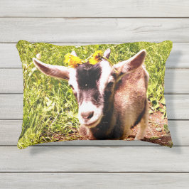 Twee beeldschermen Baby gaan naar buiten Buitenkussen