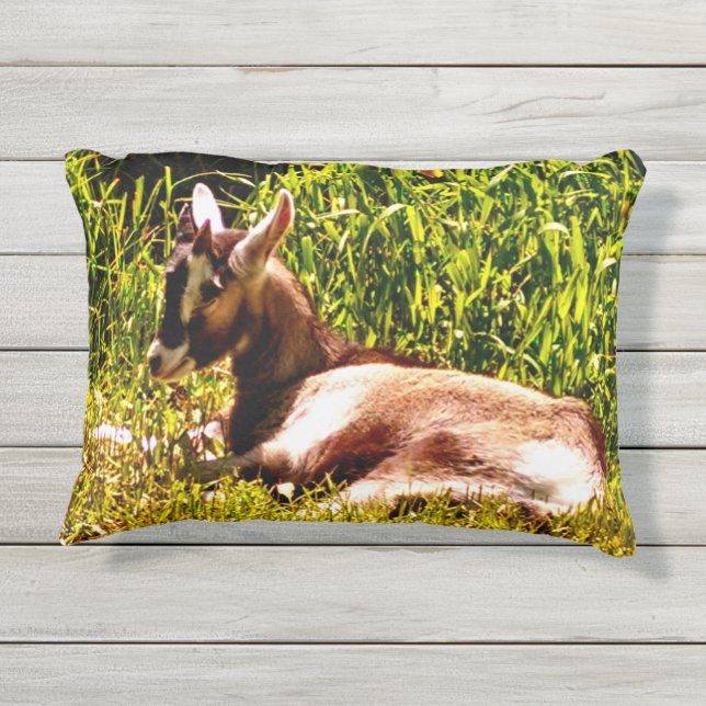 Twee beeldschermen Baby gaan naar buiten Buitenkussen (Achterkant)