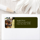 Twee Belgische ontwerppaarden Etiket (Insitu)