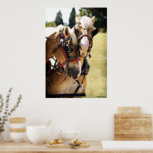 Twee Belgische ontwerppaarden Poster (Keuken)