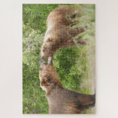 Twee beren vechten bij Katmai NP Legpuzzel (Verticaal)