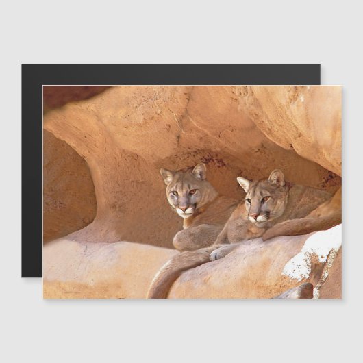 Twee bergen (Voorkant / Achterkant)