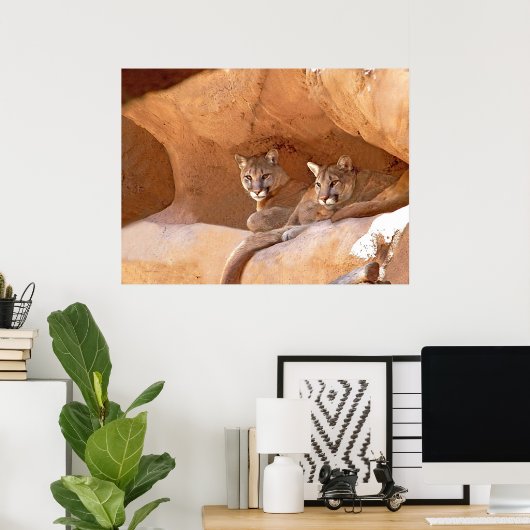 Twee bergen afdrukken poster (Thuiskantoor)