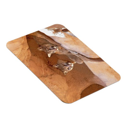 Twee bergen magneet (Rechterzijde)