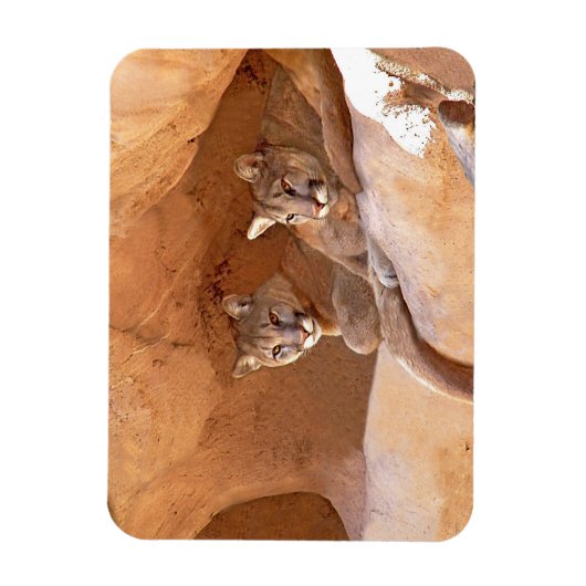 Twee bergen magneet (Verticaal)