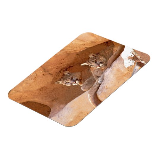 Twee bergen magneet (Linkerzijde)