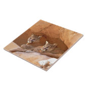 Twee bergen tegeltje (Zijkant)