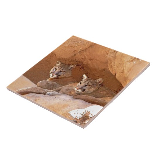 Twee bergen tegeltje (Zijkant)